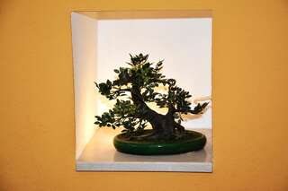 Апартаменты Apartments Tre Sorelle Котор Апартаменты-студио с видом на море-3